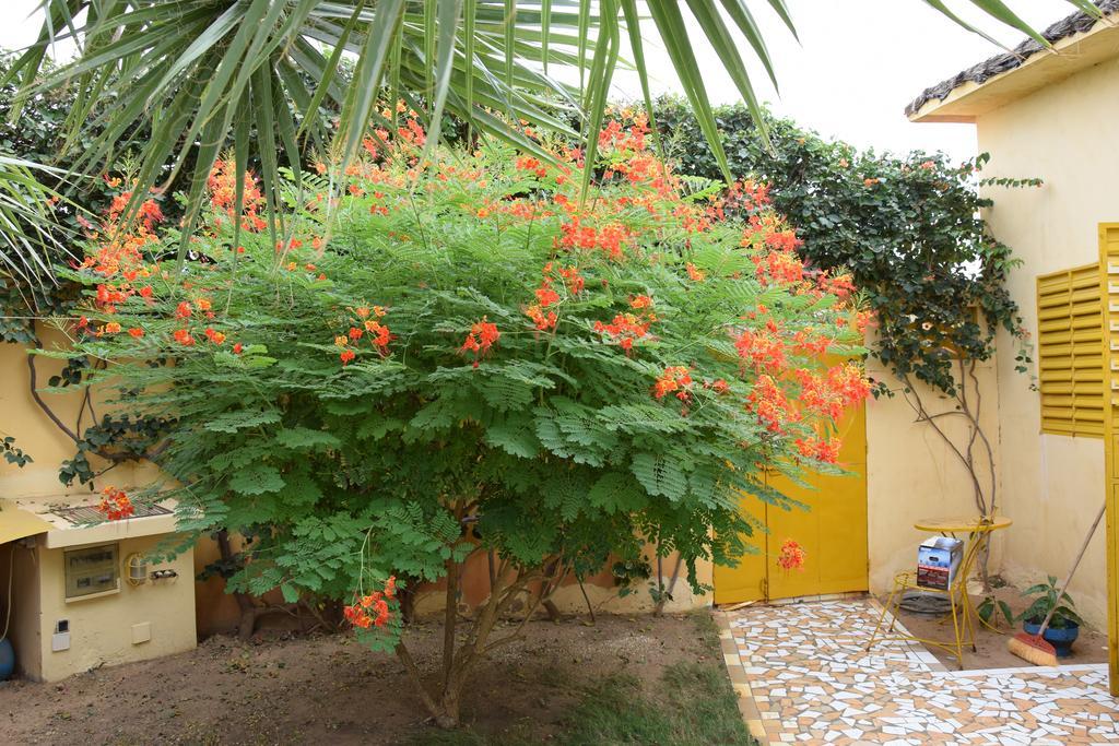 Villa Au Soleil ซาลี ปอร์ตูดัล ห้อง รูปภาพ